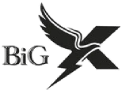 Big X Service